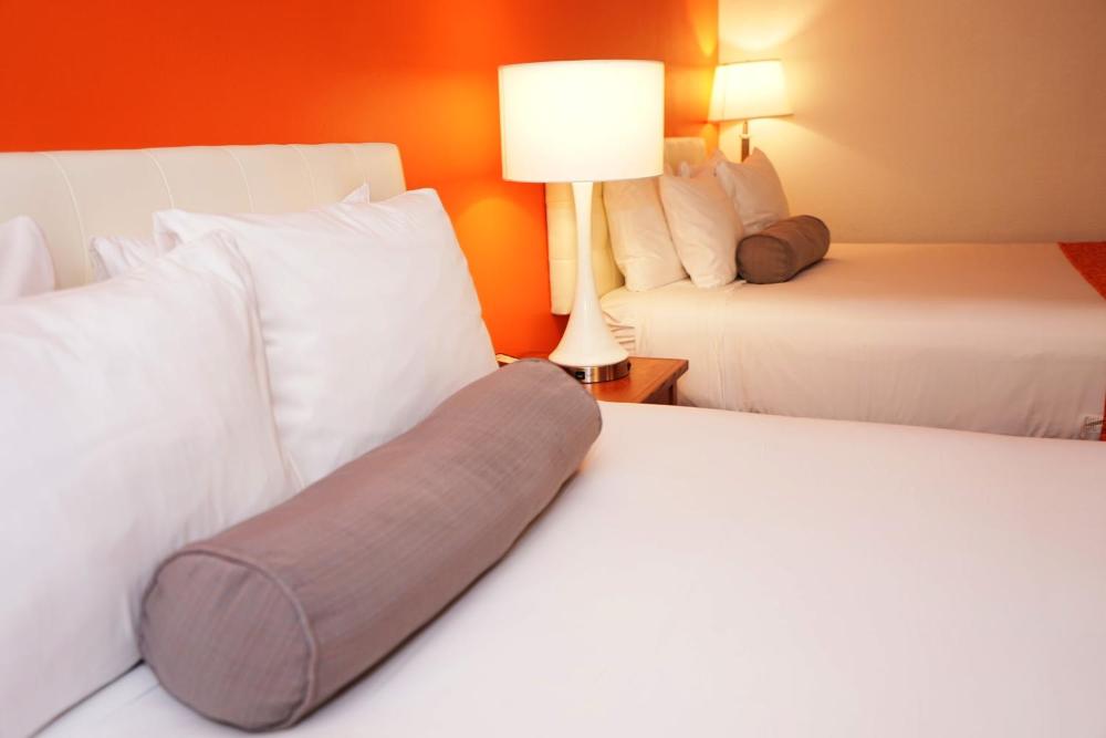 Room image 5